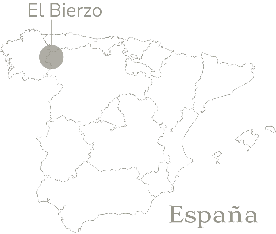 mapa de españa en el que se indica la ubicación del bierzo