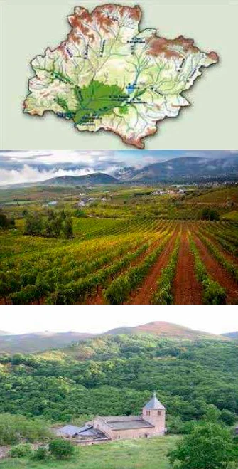 viñedos y mapa del bierzo