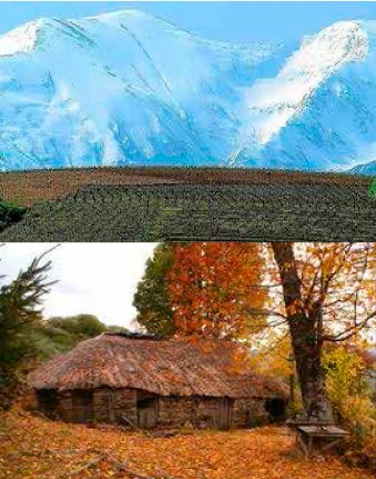 imagenes del biezo