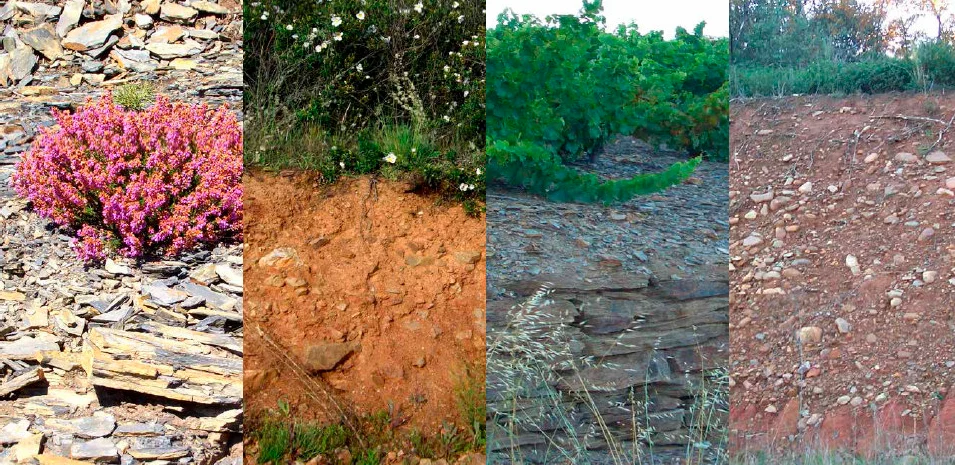imagenes del bierzo