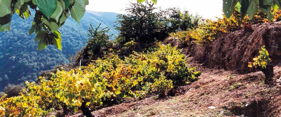 imagen de montaña en el bierzo